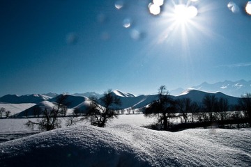 IMG_4360-2.jpg