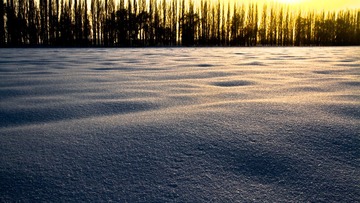 IMG_4457.jpg