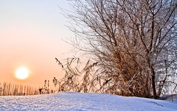 sb-55666d-4431.jpg