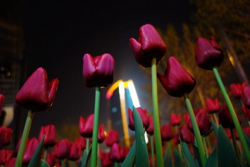 DSC00059s