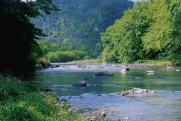 9EFC12A1-A39E-4311-835D-5AD9A85C77FD/L0/001