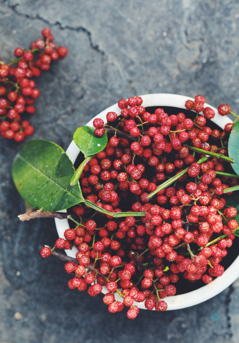 花椒- 我是笨鸟 - 图虫