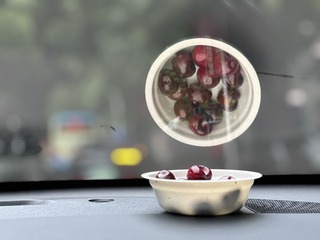 8FBFDB29-0508-4EA0-A5EC-3561A71BE861/L0/001