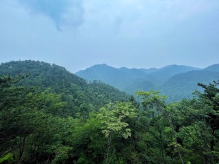 592889B2-2573-456B-BC68-9AC6FFBD67B5/L0/001