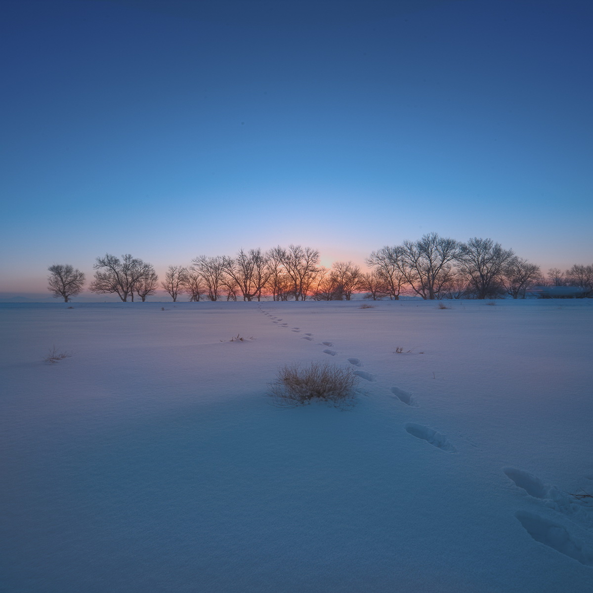 雪野- 一夫 - 图虫