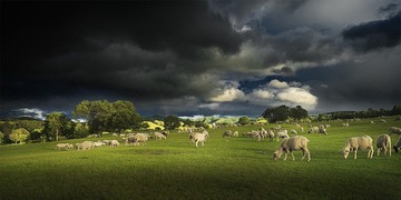 阵雨过后.jpg