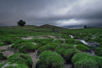 AA