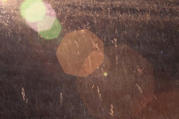 IMG_8941.JPG