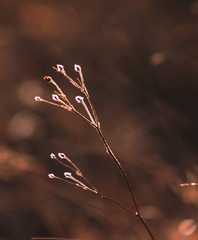 IMG_8968.JPG