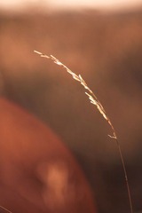 IMG_8970.JPG