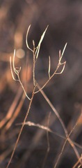 IMG_8971.JPG