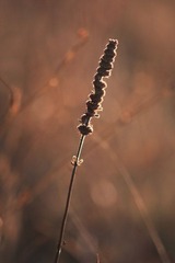 IMG_8972.JPG