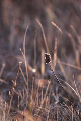 IMG_8975.JPG