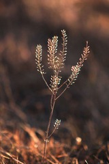 IMG_8977.JPG