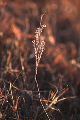 IMG_8978.JPG