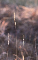 IMG_8980.JPG