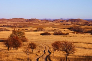 IMG_0206.jpg