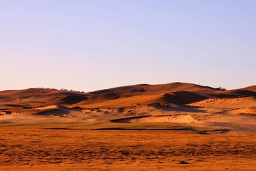 IMG_0231.jpg