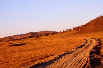 IMG_0235.jpg
