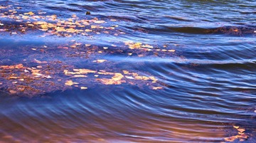 IMG_8621.JPG