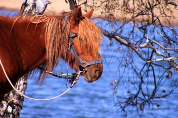 IMG_8761.JPG