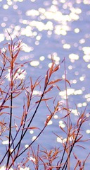 IMG_85255.jpg