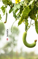_DSC0144 副本-2 副本1000.jpg