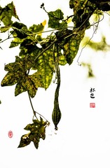 _DSC0181 副本-1 副本1000.jpg