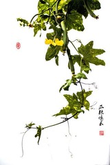 _DSC0184 副本-1 副本1000.jpg