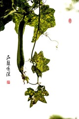 _DSC0173 副本-02 副本1000.jpg