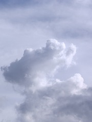 1000025054