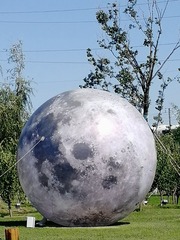 3436229