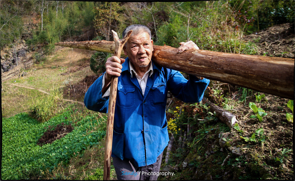 扛木材的老人