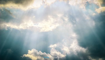 IMG_3920-编辑-编辑.jpg