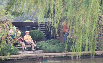 IMG_7141-2.jpg