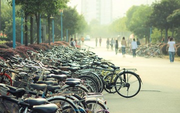 IMG_6325-编辑-1.jpg