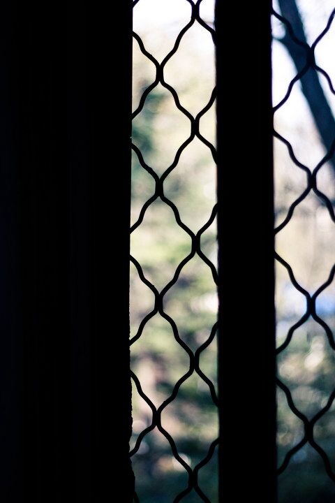 leocas-20111120<br />
透过一扇窗，才让室内的黑与室外的明亮有了对比。这扇窗的存在，让自由的渴望生根发芽。