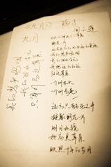 leocas-20111203.jpg