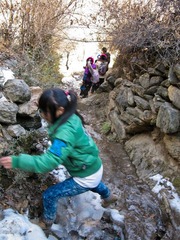 p014.jpg