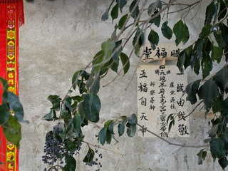 IMG_0625.jpg
