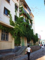 P8181805_副本.jpg