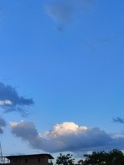 1000009207