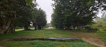 1000057241