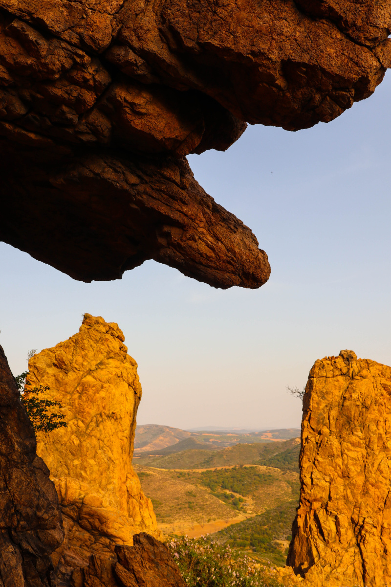 阜新骆驼山庄园