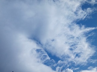 262