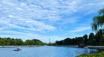 E146A433-C724-4782-B47F-29A0026EE576/L0/001