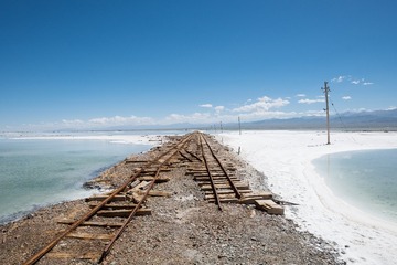 1156845