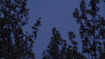 91324DB1-7747-435F-9C9B-3D1051D1462A/L0/001