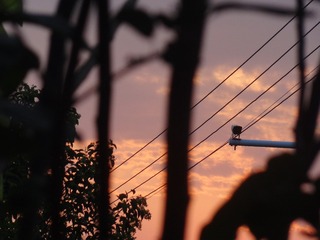 0A8B5910-F3D0-4211-BB59-645CEA57847A/L0/001