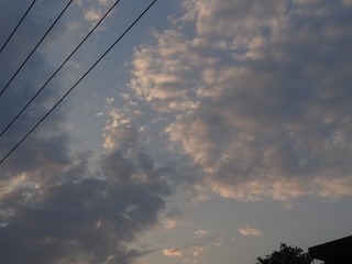 74A68DAA-9FFC-4007-A598-D763DE4D5AA4/L0/001